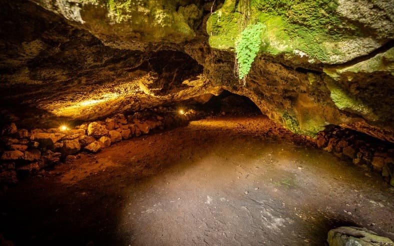 5. Lava Caves Around Auckland — A Different Underground World