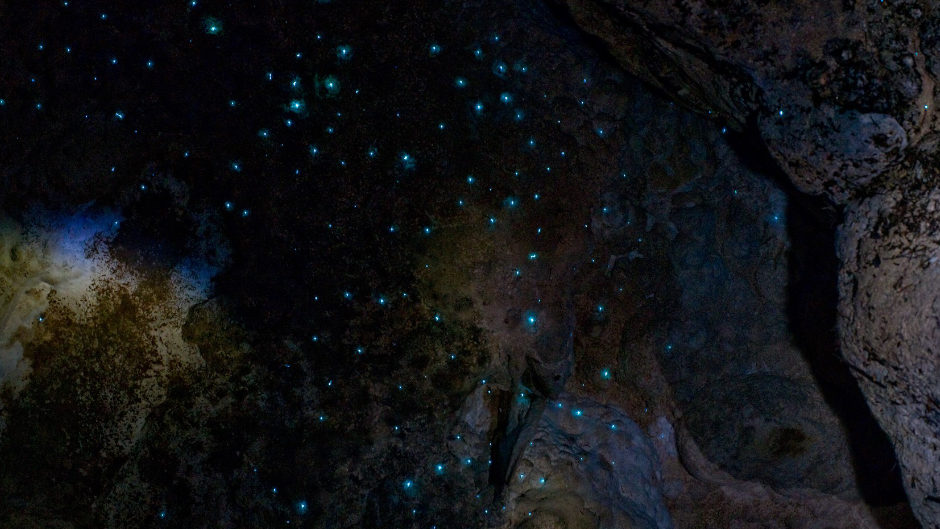 Kawiti — A Simpler, More Natural Encounter