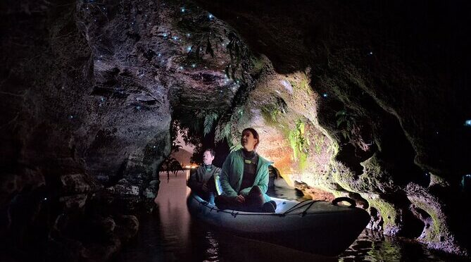 The Best Glowworm Cave Tours in New Zealand